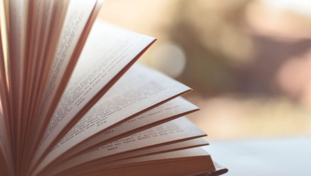 novelas-con-recetas-con-misterio-libro
